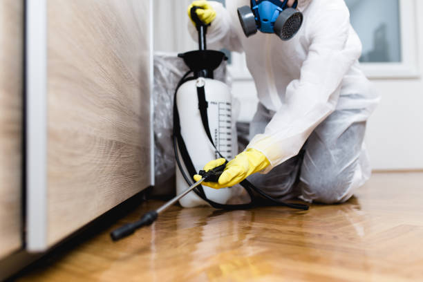 Best Local Pest Control Services  in Lathrup Village, MI