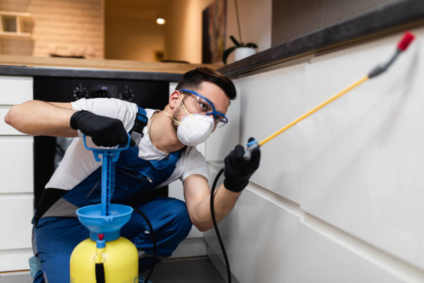 Best Rat Extermination Near Me  in Lathrup Village, MI
