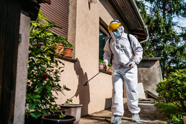 Best Wasp Removal Services  in Lathrup Village, MI