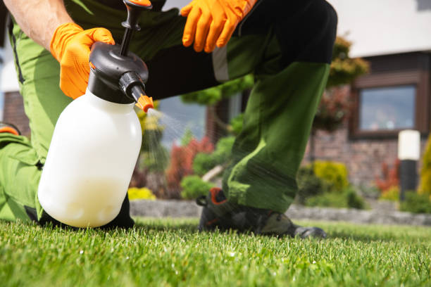 Wasp Removal Services in Lathrup Village, MI