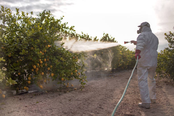 Best Best Pest Control Companies  in Lathrup Village, MI