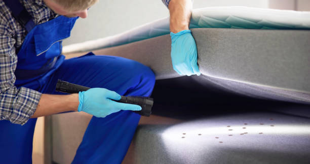 Best Termite Control Services  in Lathrup Village, MI