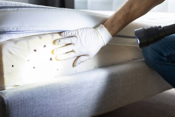 Best Exterminator Services  in Lathrup Village, MI