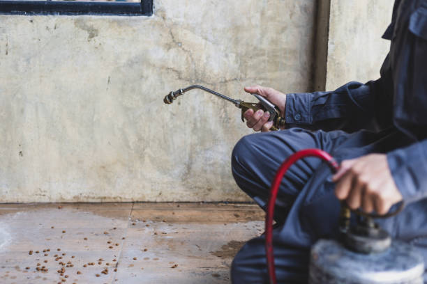 Best Pest Control for Businesses  in Lathrup Village, MI